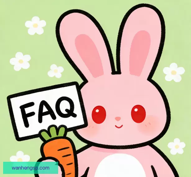 常见问题